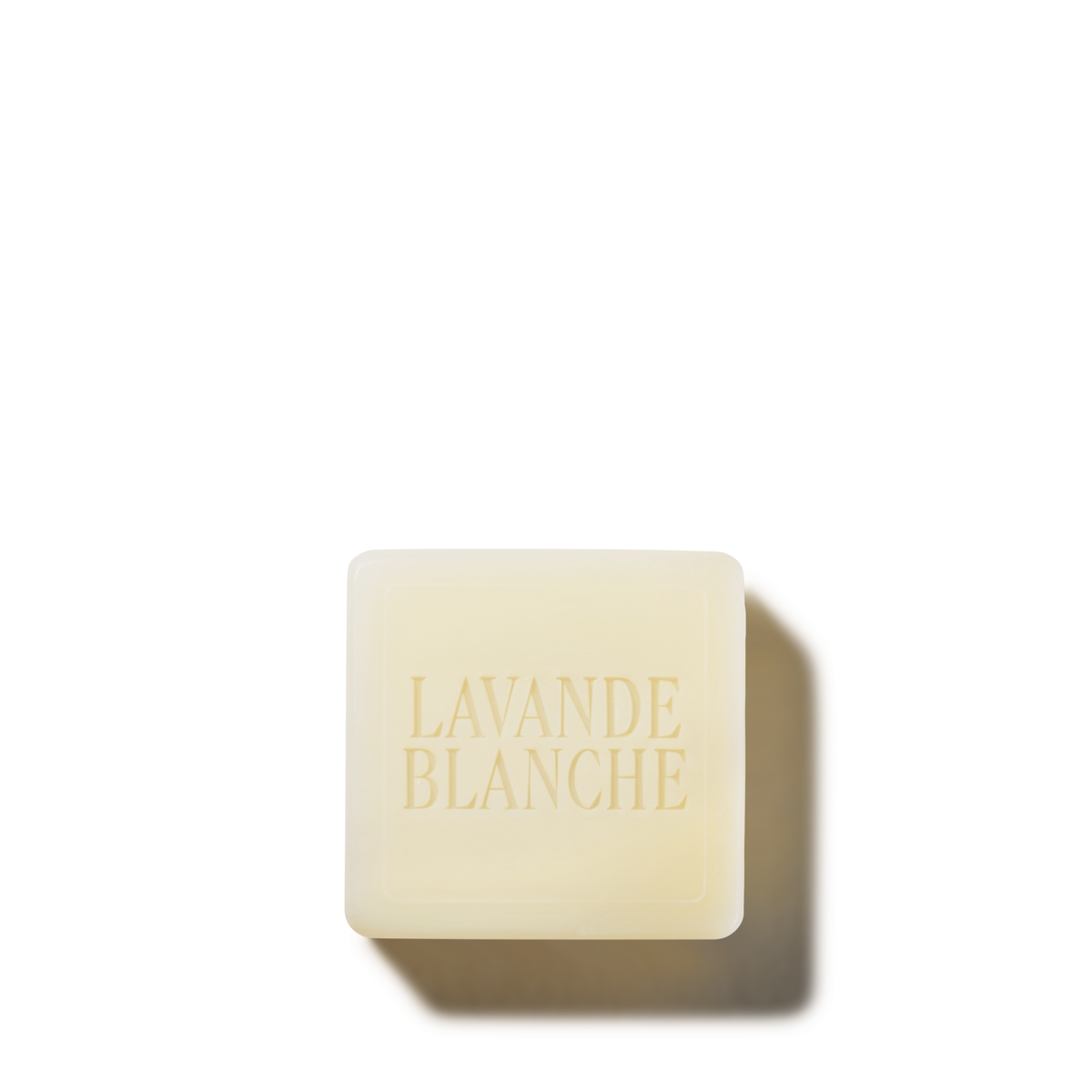 Lavande Blanche ziepes