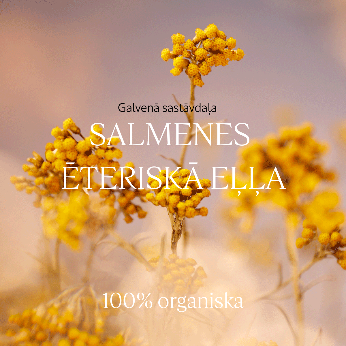 Immortelle Precious sejas krēms