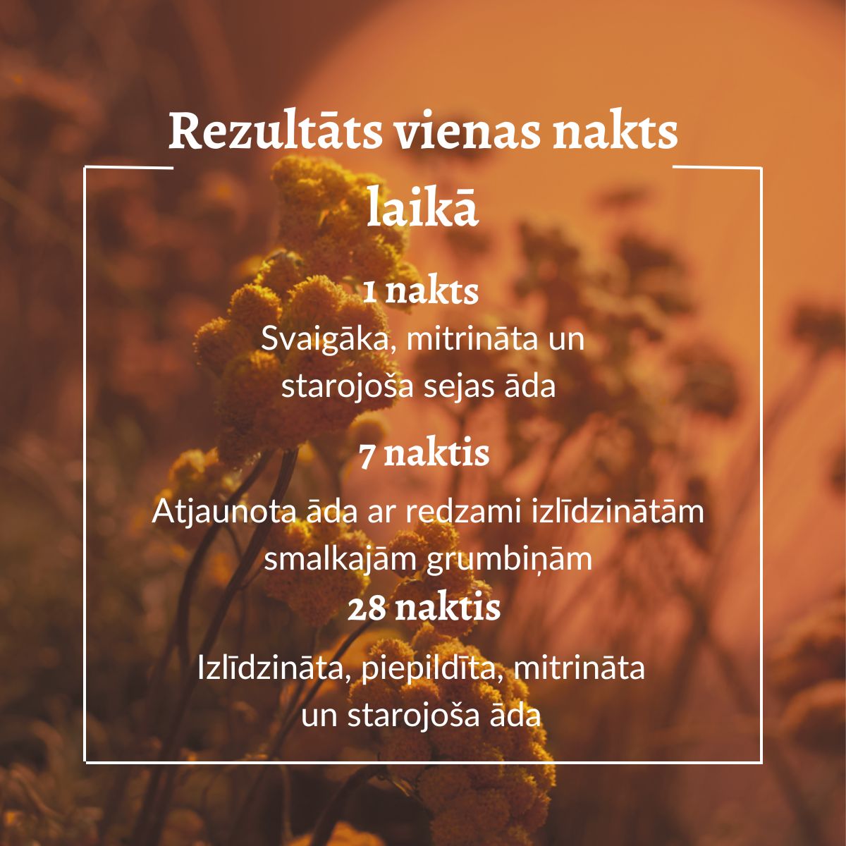 Reset nakts serums (uzlabota formula)