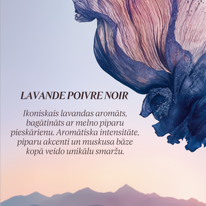 Lavande Poivre Noir EDT viņam