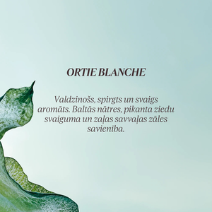 Ortie Blanche EDP