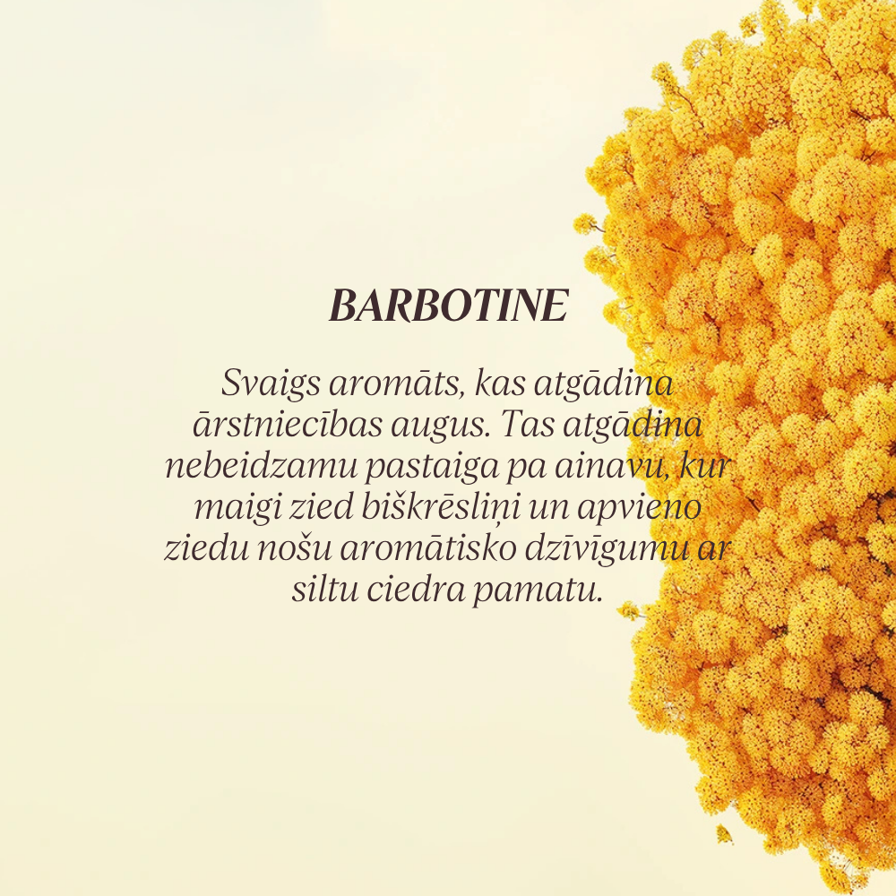 Barbotine EDP
