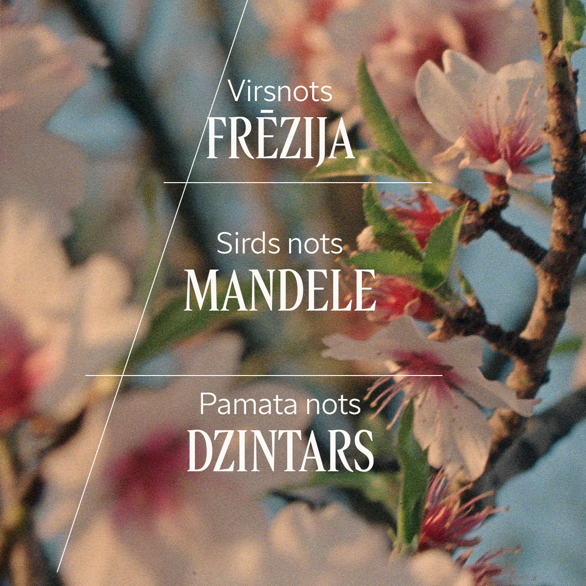 Mandeļu ķermeņa un matu sprejs