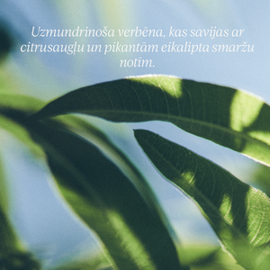 Šī sviesta - verbēnas ziepes rokām un ķermenim